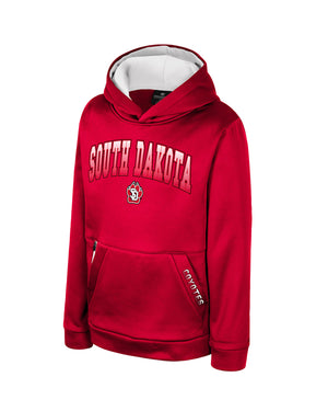 Boys red poly hoodie with , 'SOUTH DAKOTA,' in a red and white gradient across chest and SD Paw logo below.