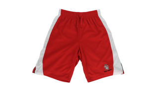
                
                    Load image into Gallery viewer, Youth Dino Reversible Shorts Red/White
                
            